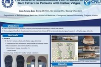 The Effects of Biomechanical Foot Orthosis on Gait Pattern i